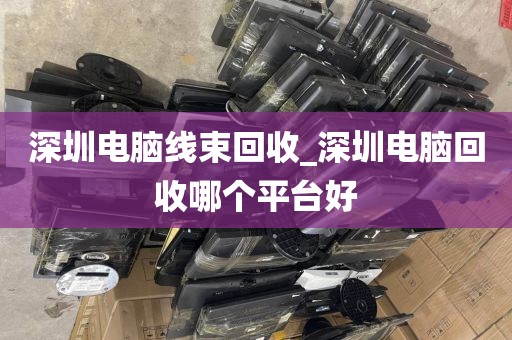 深圳電腦線束回收_深圳電腦回收哪個(gè)平臺(tái)好